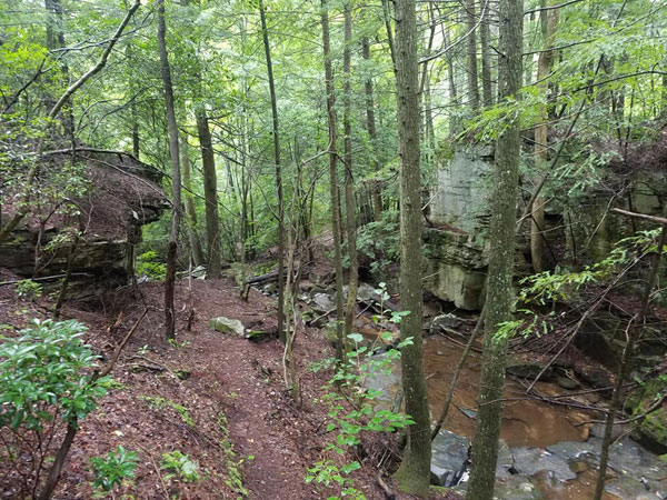 Ambers Den Ridge Trail